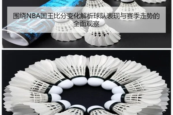 wei-rao-guo-wang-bi-fen-bian-hua-jie-xi-qiu-dui-biao-xian-yu-sai-ji-zou-shi-de-quan-mian-guan-cha-2-111.jpg
