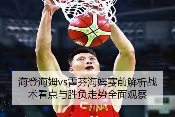 海登海姆vs霍芬海姆赛前解析战术看点与胜负走势全面观察