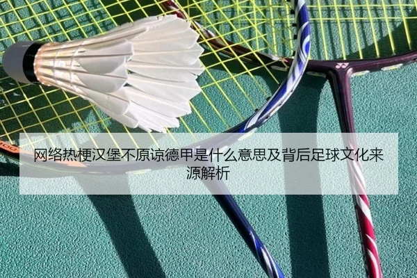 网络热梗汉堡不原谅德甲是什么意思及背后足球文化来源解析